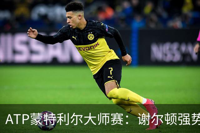 ATP蒙特利尔大师赛：谢尔顿强势晋级决赛 势在必得卫冕